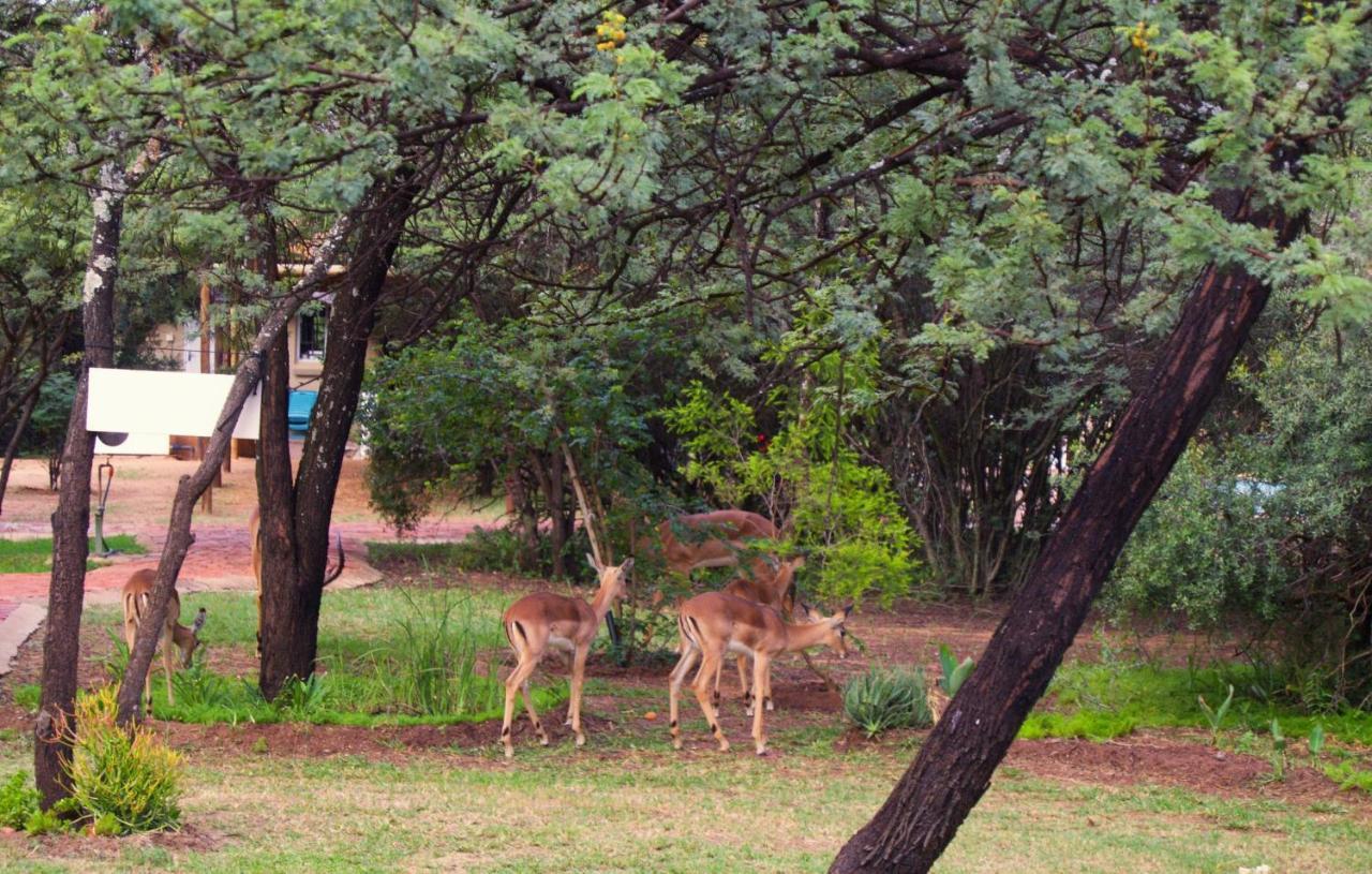 Suzie'S Loft - Nude - Suneden Family Naturist Resort Pretoria Ngoại thất bức ảnh